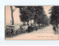 SURVILLIERS : Route De Flandre - Très Bon état - Survilliers