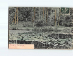 Etang De Saint Cucufa - Très Bon état - Andere & Zonder Classificatie