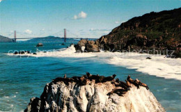 72650616 San_Francisco_California Seal Rocks And Golden Gate Bridge - Sonstige & Ohne Zuordnung