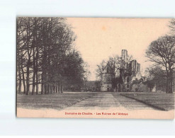 Domaine De Chaâlis, Les Ruines De L'Abbaye - état - Autres & Non Classés