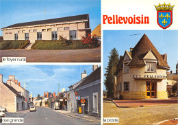36-PELLEVOISIN -N°T568-D/0229 - Other & Unclassified