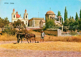 72640858 Kfar Kana Maultier Pflug Kirche Kfar Kana - Israel