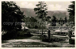 72633961 Alice The Mountain Home Hogsback Hydro - Andere & Zonder Classificatie