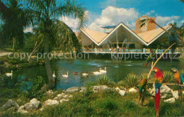 72630198 Tampa_Florida Hospitality House - Altri & Non Classificati