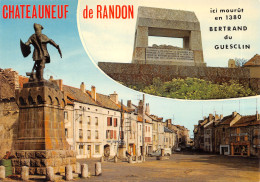 48-CHATEAUNEUF DE RANDON-N°T570-D/0123 - Chateauneuf De Randon
