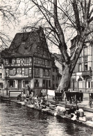 68-COLMAR-N°T572-C/0149 - Colmar