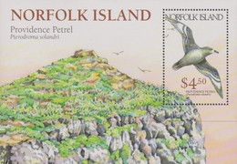 Norfolk Island ASC 689 MS 1999 Providence Petrel, Miniature Sheet, Mint Never Hinged - Ile Norfolk