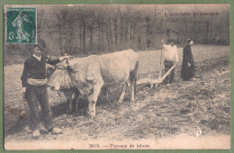 CPA Top Sélection - AUVERGNE PITTORESQUE - PAYSANS AU LABOUR - Belle Animation Agricole, Attelage De Boeufs - Auvergne