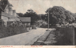 R295278 Burley. New Forest. F. G. O. Stuart. No. 782. 1915 - Wereld