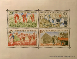 LP3844/2287 - NIGER - 1963 - POSTE AERIENNE - BLOC N°2 NEUF* - Niger (1960-...)