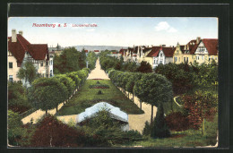 AK Naumburg A. S., Louisenstrasse Mit Bäumen  - Naumburg (Saale)