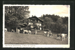 AK St. Quirin /Tegernsee, Cafe-Pension Unterbuchberg  - Tegernsee