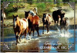 13-5-2024 (5 Z 1) Australia  (posted 1996 With Lion Stamp) Wild Horses / Aka Brambies  (VIC - Glenrowan) - Caballos