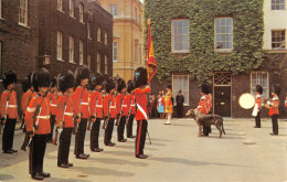 R297259 St. James Detachment Of The Queens Guard. Irish Guard. London. PT8014 - Other & Unclassified