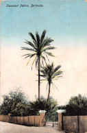 R299821 Bermuda. Coconut Palms. Yankee Store And Bermuda Drug. No. 4 - Monde