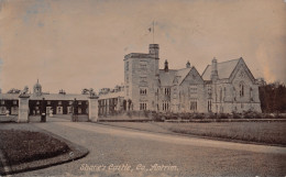 R295426 Shanes Castle. Co. Antrim. 1919 - Wereld