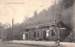 La Gare Des Monts De Corsier Vevey, Vaud CPA - Corsier-sur-Vevey