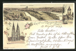 Lithographie Regensburg, Panorama, Dom, Ostentor  - Regensburg