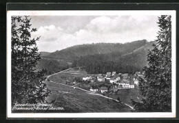 AK Dürrenwaid /Frankenwlad, Blick Auf Silberstein  - Other & Unclassified