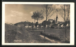 AK Nepomuk, Teilansicht Mit Kirche Und Schloss  - Repubblica Ceca