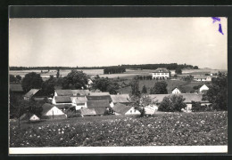 Foto-AK Rybnice, Panorama Mit Wohnhäusern  - Repubblica Ceca