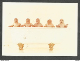 ANNE GEDDES : BATH TUB BABIES - Other & Unclassified