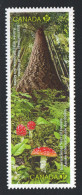 2011  International Year Of Forests Se-tenant Pair From Booklet Sc 2463a MNH - Nuovi