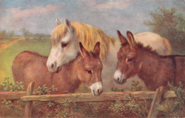 R296771 E. Hunt. Pony And Donkeys. Salmon - Monde