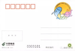 China Postcard 2022/PP336 Protection Of Yangtze River Finless Porpoise 1v MNH - Postales