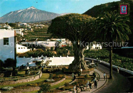 72869361 Santa Cruz De Tenerife Icod De Los Vinos Drago Milenario Santa Cruz De  - Andere & Zonder Classificatie