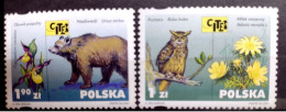 D2861 - Owls - Hiboux - Bears - Ours - Poland 2001 - MNH - 1,35 - Owls