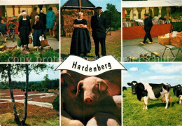 72868318 Hardenberg Niederlande Landschaftspanorama Markt Bauern Kuehe Schwein H - Sonstige & Ohne Zuordnung