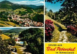 72867402 Bad Peterstal-Griesbach  Bad Peterstal-Griesbach - Autres & Non Classés