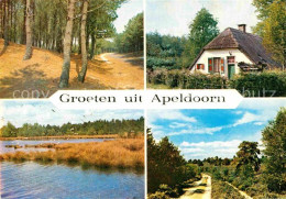 72863670 Apeldoorn Berg En Bos Landschaftspanorama Waldpartie Reetdachhaus Apeld - Other & Unclassified