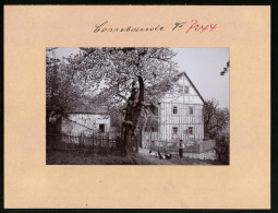 Fotografie Brück & Sohn Meissen, Ansicht Cossebaude, Partie An Der Baumblut, Bauer Mit Hühnern  - Plaatsen