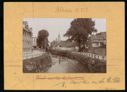 Fotografie Brück & Sohn Meissen, Ansicht Döbeln I. Sa., Partie An Der Mulde Mit Wohnhäusern  - Plaatsen