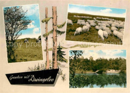 72862760 Dwingeloo Landschaftspanorama Schafherde Dwingeloo - Andere & Zonder Classificatie