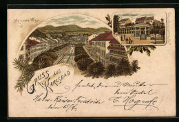 Lithographie Karlsbad, Alte U. Neue Wiese, Schlossbrunn  - Tchéquie