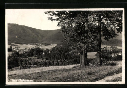 AK Bad Liebwerda, Ortsansicht Aus Weiter Ferne  - Czech Republic