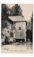 10 - Environs De MAILLY - Le Moulin De Trouan   (L116) - Mailly-le-Camp