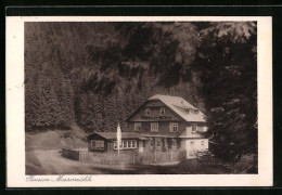 AK Oelze, Pension Massermühle Mit Wald  - Andere & Zonder Classificatie