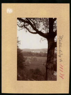 Fotografie Brück & Sohn Meissen, Ansicht Waldenburg, Blick Von Der Rochlitzer Strasse  - Plaatsen