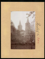 Fotografie Brück & Sohn Meissen, Ansicht Rochlitz, Blühende Obstbäume Vor Schloss Rochlitz  - Lugares