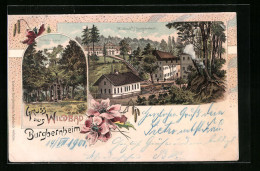 Lithographie Wildbad Bei Burgbernheim, Teufels Häuschen, Ortspartie  - Sonstige & Ohne Zuordnung