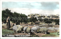 72600701 Bethlehem Yerushalayim Field Of Shepherds Bethlehem - Israel