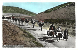 72600697 Jericho Israel Road To Jericho Jericho Israel - Israel