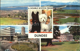 72597417 Dundee City Fliegeraufnahme Scotch Hunde Dundee City - Altri & Non Classificati