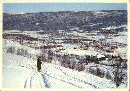 72595537 Geilo Bergensbanen Parti Fra Ustedalen Geilo - Norvegia