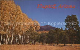 72584281 Flagstaff Arizona Autumn And San Francisco Peaks Flagstaff Arizona - Otros & Sin Clasificación