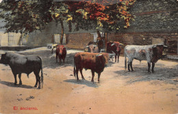 R295957 El Encierro. Cattles. 1871 - Wereld